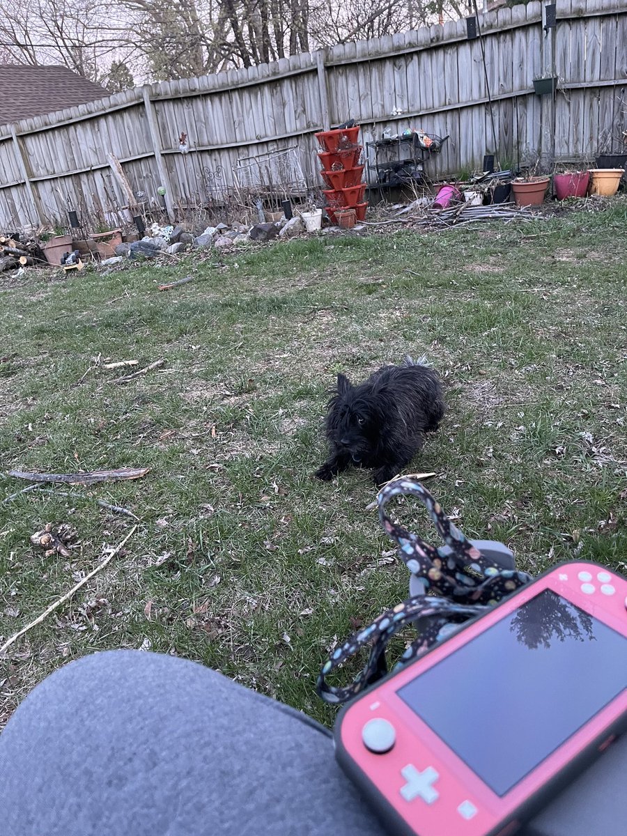 Best part of a conference in my town when I’m an introvert? , I am currently recharging in my PJ’s in the back yard with my dog.