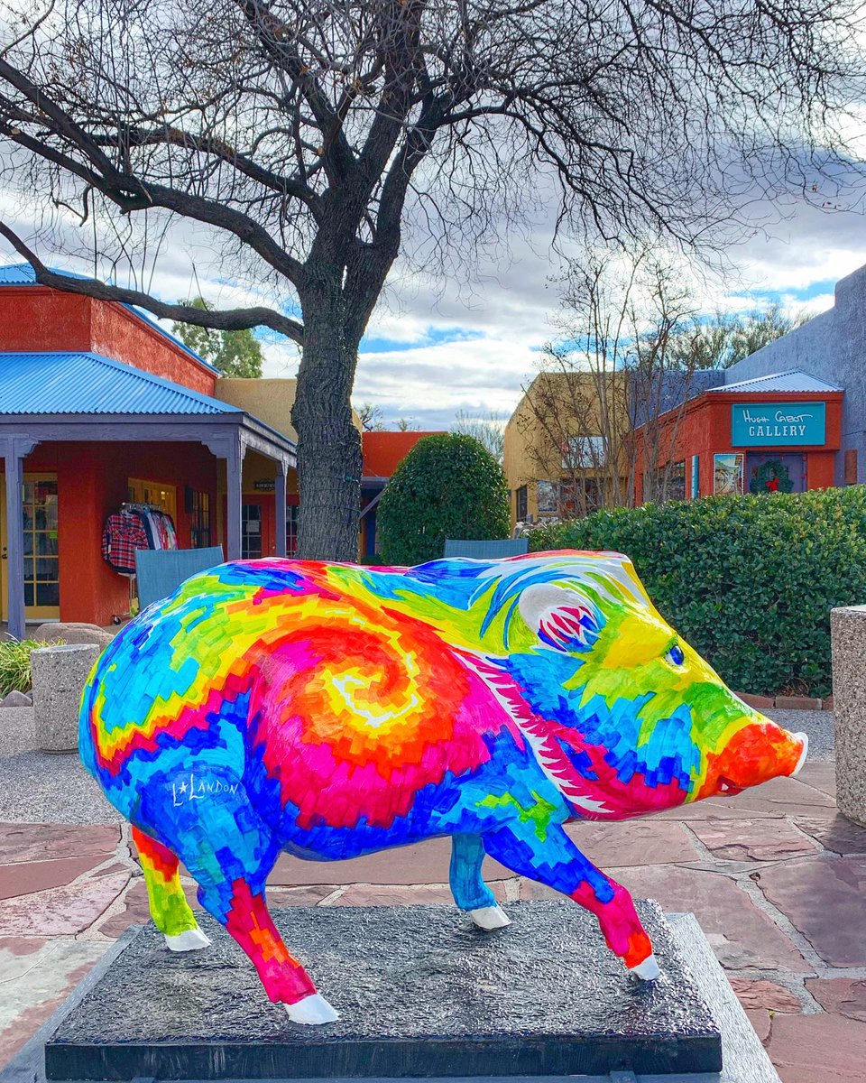 Visit Arizona tweet media