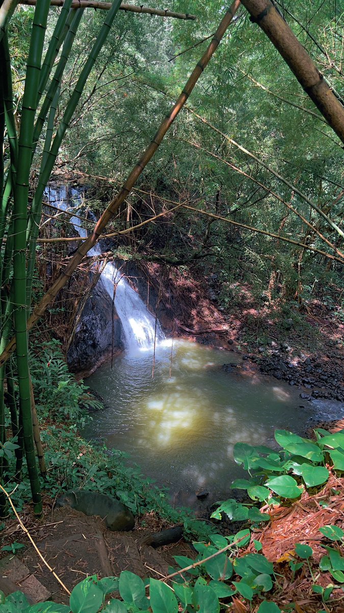 やっぱりハワイページ ハワイ州観光局 【公式】:旅、はじめるなら やっぱりハワイ on X