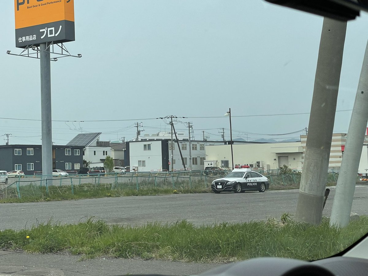 三日月Plateau💫浅瀬🐟 on Twitter