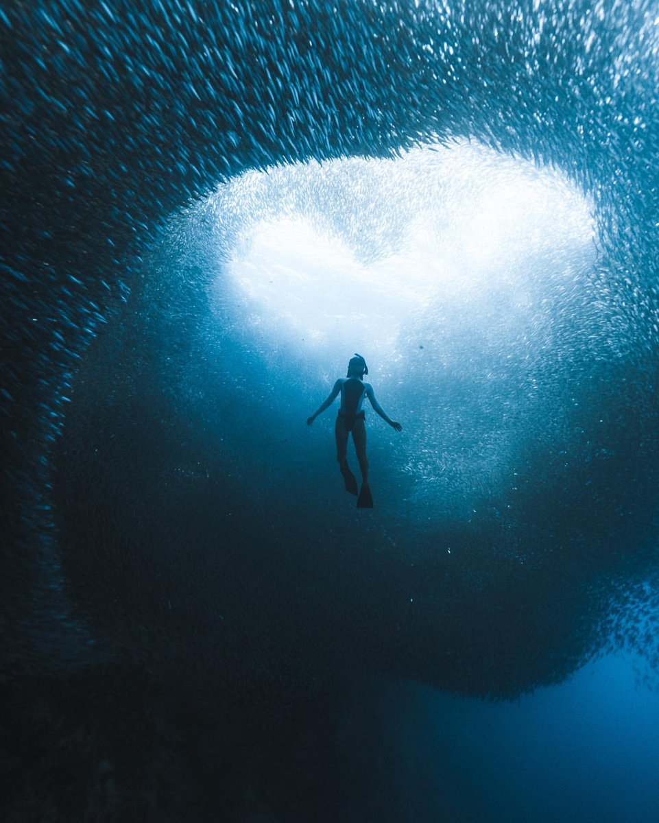 Who would you take with you here? 

Kelsey Williamson brought along her dive buddy Megan Hassa. Because friends who dive together, do things differently 💙#OceanMyWay #ScubaDotCom