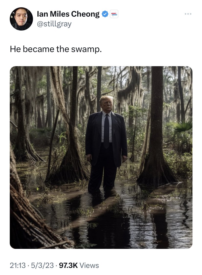 I don't know how to break it to you, but Donald Trump was always the swamp. The biggest swamp creature in the US.