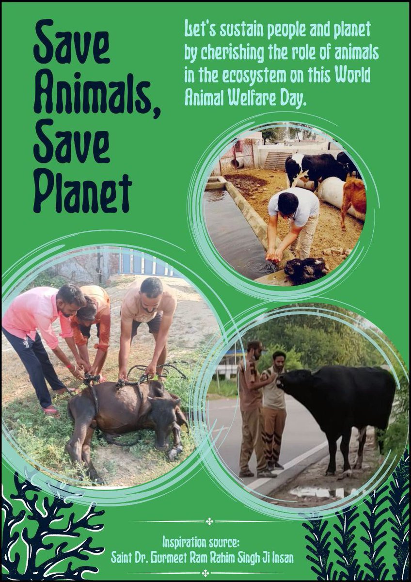 verma_mohit12's tweet photo. It is the duty of each one of us to take care of innocent,mute creatures. Following the teachings of Saint Gurmeet Ram Rahim Ji,Dera Sacha Sauda volunteers arrange fodder,water and shelter for stray animals &amp; also provide medical aid to them.
#EndCruelty 
Animal Welfare https://t.co/ahJTo63JQ6