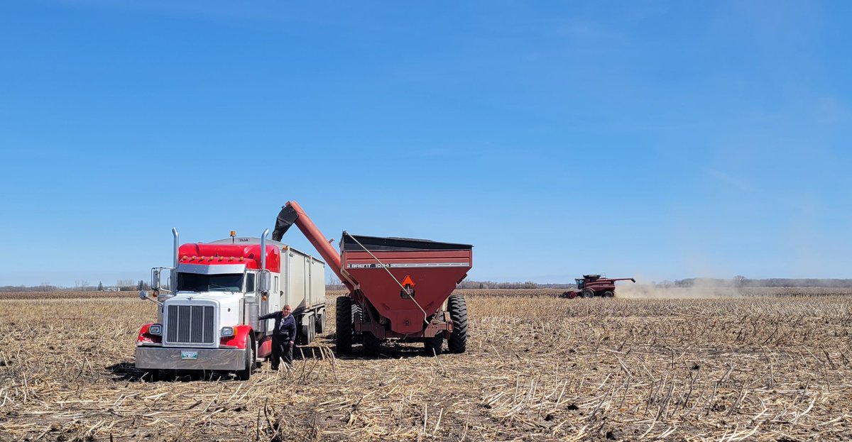 Dean Toews tweet media