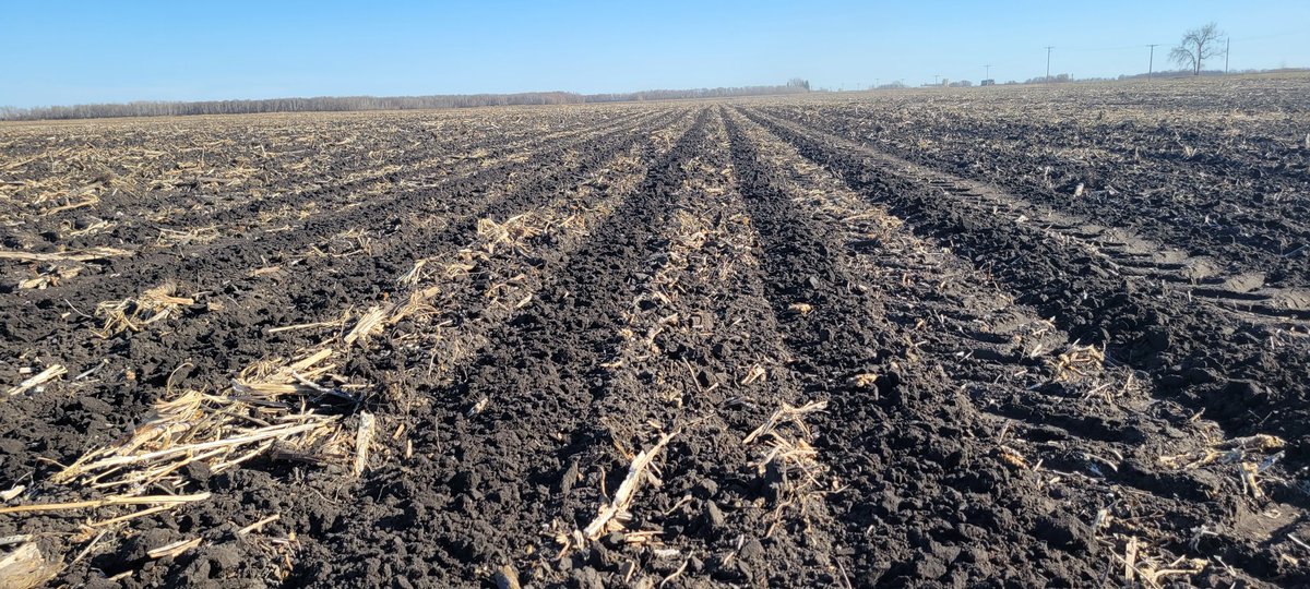 Dean Toews tweet media