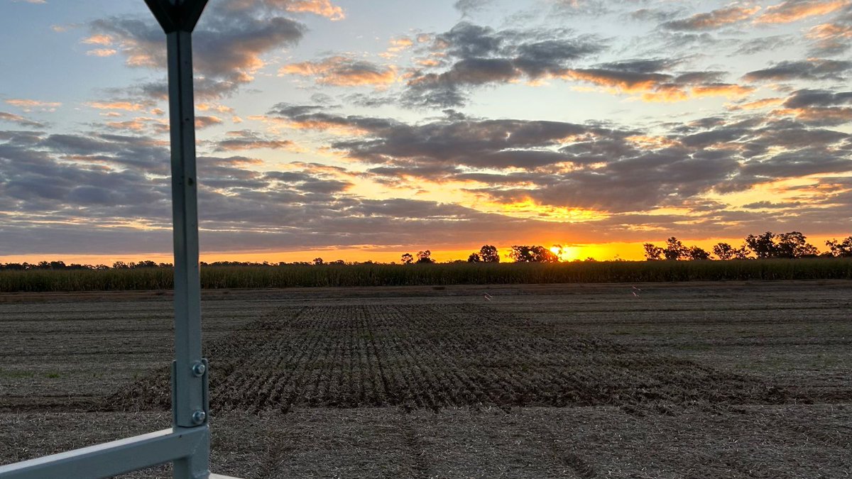 pioneerseedsau's tweet photo. Pioneer® canola research trials continue to go into the ground around the country. 
Pictured here is a time of sowing and phenology trial at Invergordon VIC. The site received 30mL of rain 4 days prior to seeding. Keep an eye out for field walks at this site, later in the season. https://t.co/IATABrl8hR