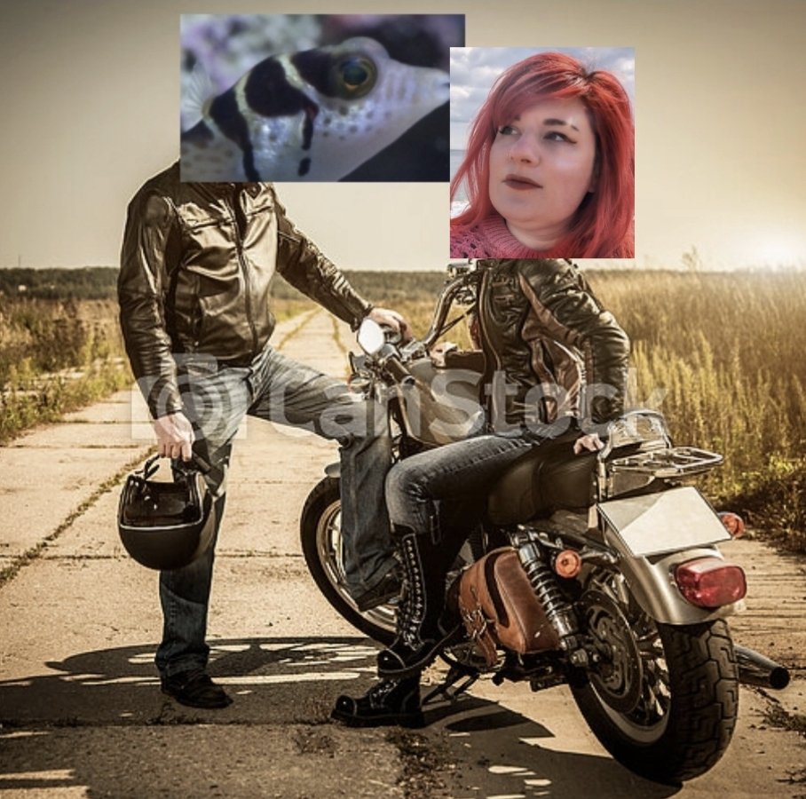 Thomas Jancis tweet media