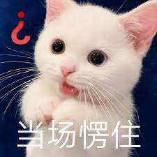 搞哥 BNB tweet media