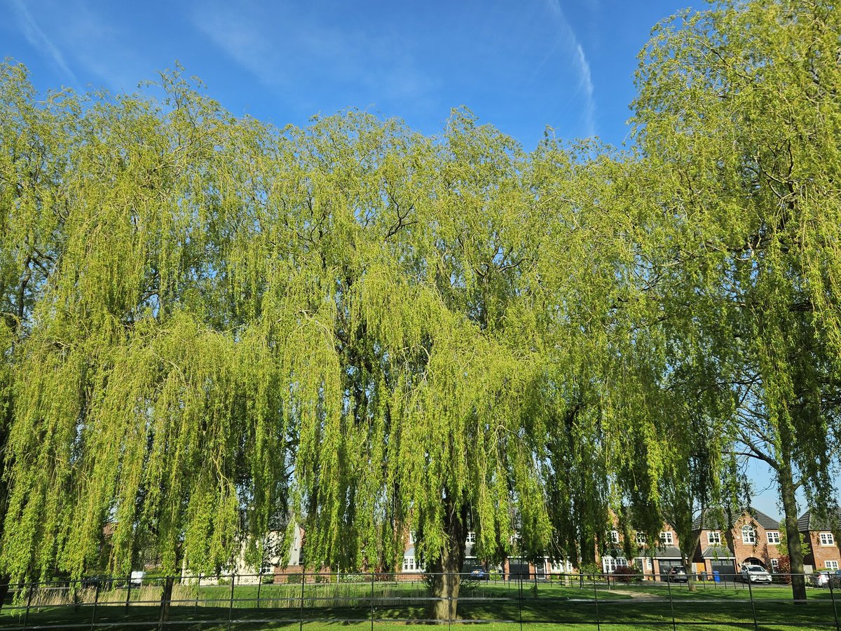JaneRoberts2's tweet photo. What a gorgeous morning to be back in uniform, ready for NMP and consolidation! The mantras for the next few months are #trustanna #everythingwillbeok
Let's go @DNManMet @WeAreBCHFT!
@HASOEngland https://t.co/Lb508BsdHD