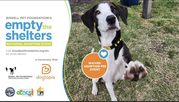 psychicwhisper3's tweet photo. ✨***News Flash ***✨
🏃‍♀️Project " EMPTY THE SHELTER "🏃‍♀️
Sponsored By @BISSELLPets 👏
📢Adoption Fees Waived 🙌
1st - 13th May 2023
Dont Wait 🏃‍♀️🏃‍♂️💨
Corpus Christi Animal Care Shelter TEXAS
2626 Holly Road Corpus Christi 78415
📧ccacsrescues@cctexas.com
☎️361-826-4630 https://t.co/xSX9Z3jzi0