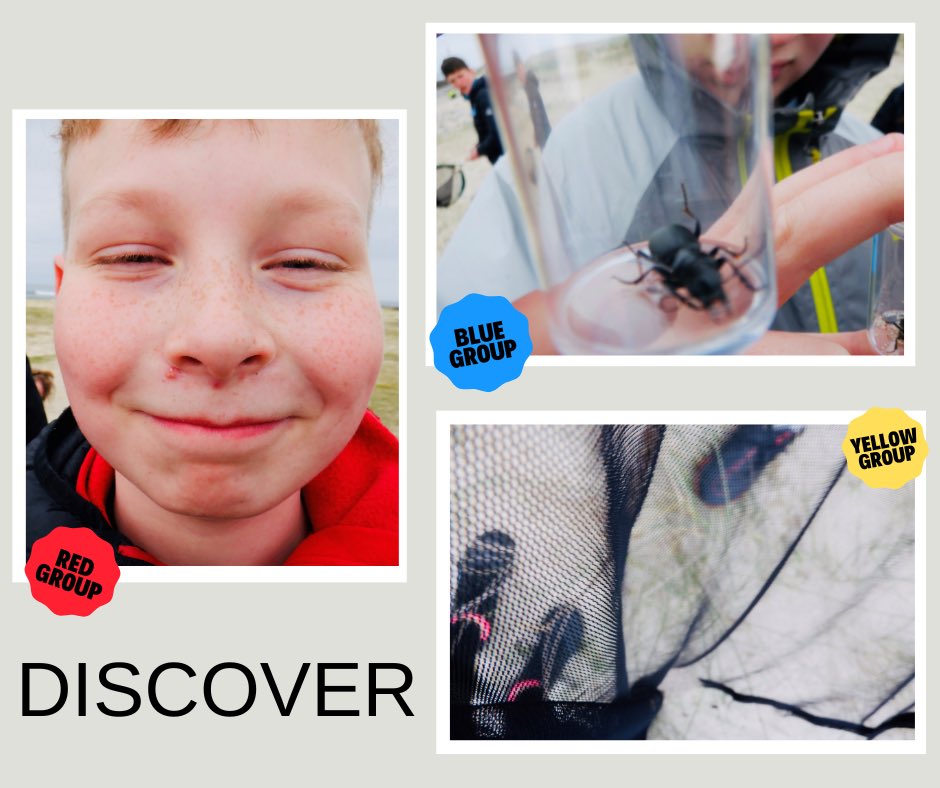 UOCharlabhaigh's tweet photo. Our #JohnMuir P7’s spent time with @BumblebeeTrust Species on The Edge Programme. Discovering the diverse creatures that live on our island and learning how to protect them. #discoveryaward #conservation #beesandbugs #community #outerhebrides #barvas #machair https://t.co/upQIsZYqVm