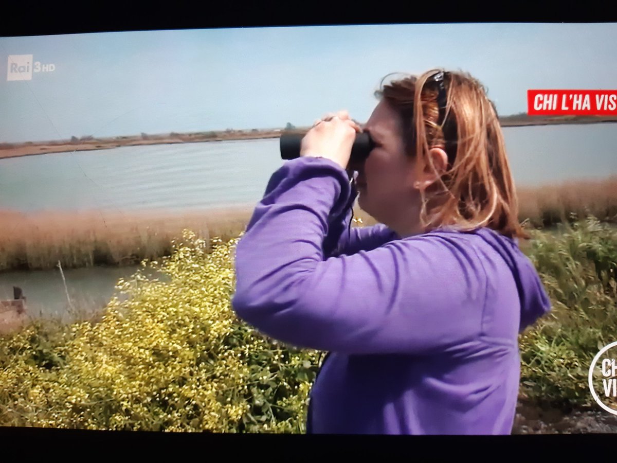 MissiTaglia's tweet photo. MA CHE VERAMENTE CI STATE FACENDO FARE TUTTO IL DELTA DEL PO MA SIETE IMPAZZITI?
#chilhavisto #Chilhavisters #Delters https://t.co/ZAwR9EUKGr