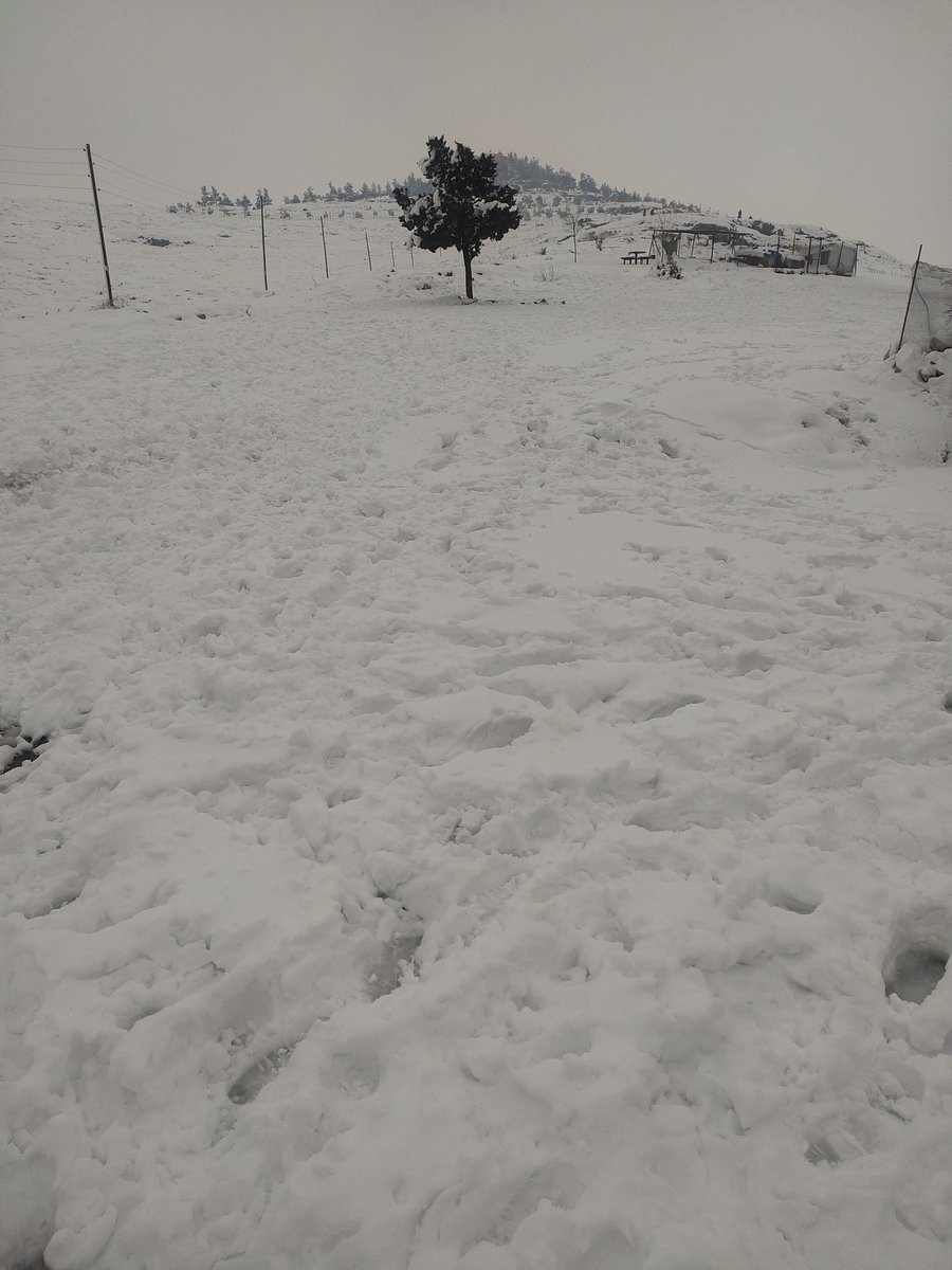 @ramazandag392 Ölüme terkedilmiş anneler