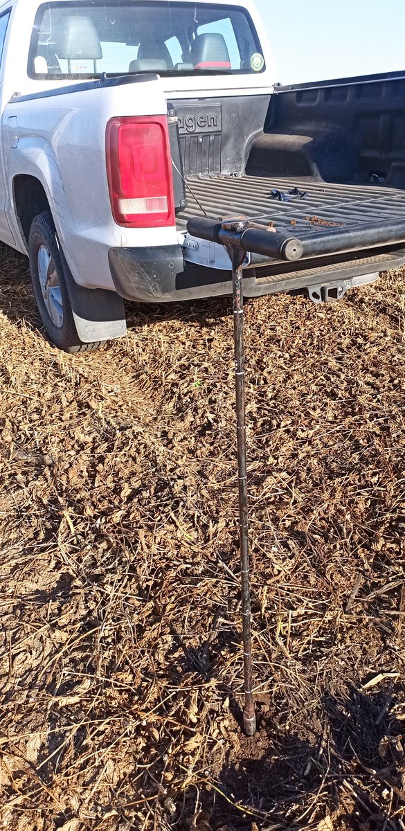 Juan A. Marsigliani tweet media