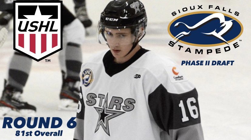 North Stars tweet media