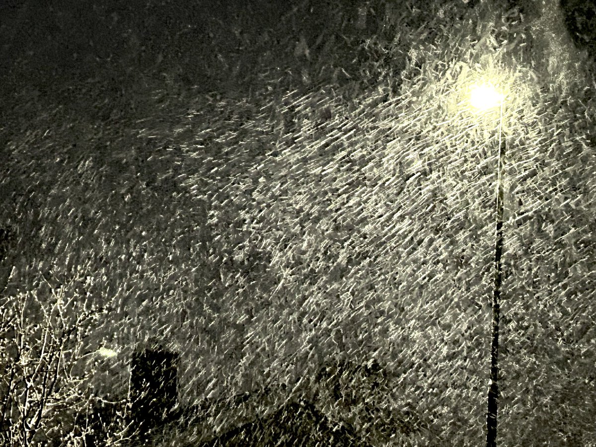 Vigleik M. Aas tweet media