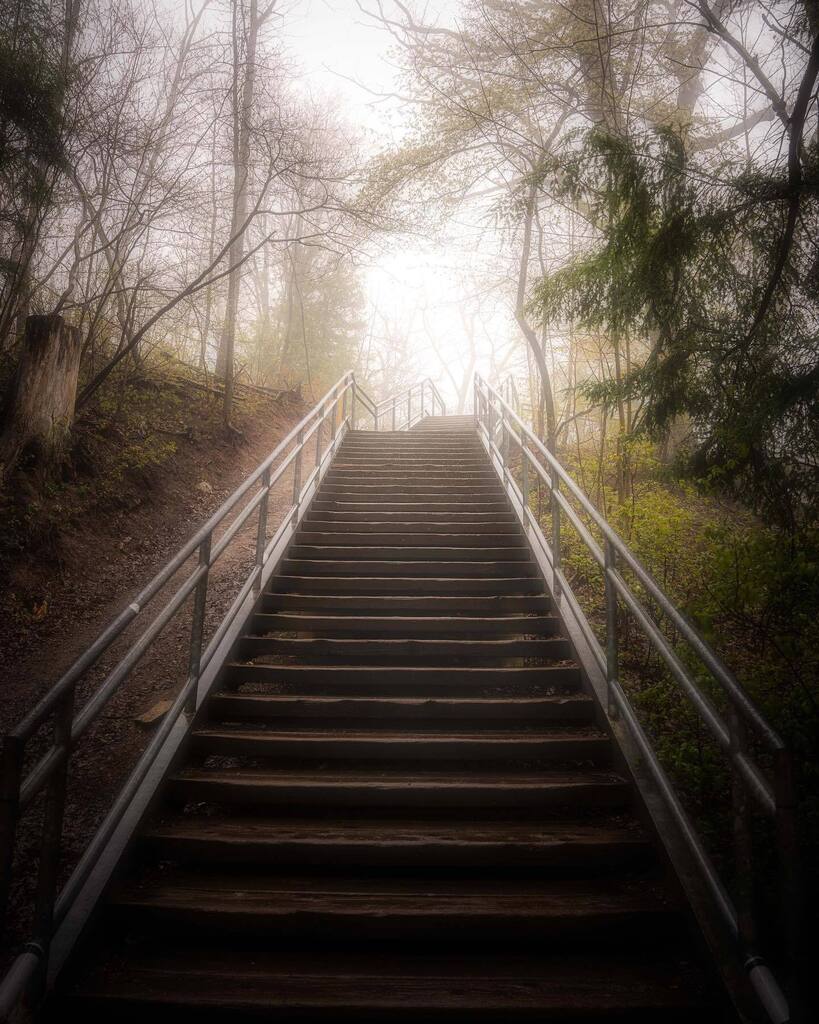 This way…
.
I miss finding these trails (and stairs) to photograph. So glad I ventured out over the past weekend to Tews Falls. The mist and fog was a bit too thick to get a decent shot of the falls. But glad to find a fantastic trail. 
.
.
.
#tree_m… instagr.am/p/Cry534GOzRw/