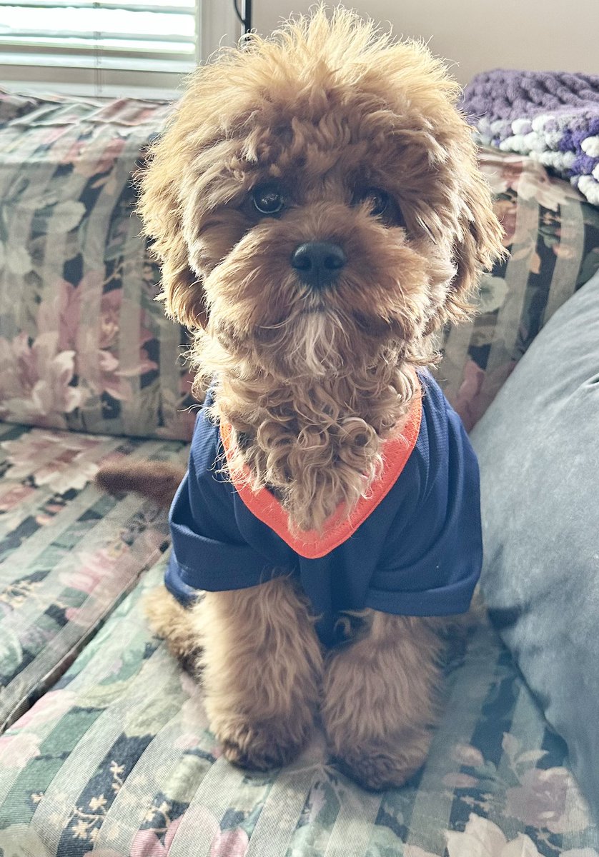 Ani is ready to cheer loud!!
<a href="/GlobalEdmonton/">Global Edmonton</a> <a href="/PhilDWeather/">Phil Darlington</a> @Daintre_
