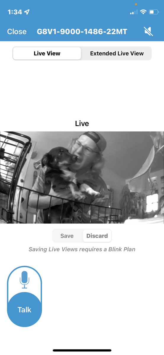 BIGONBUGS's tweet photo. Got a notification from my Ring I think I need to go home and check on my dog https://t.co/i4O8QU16mE