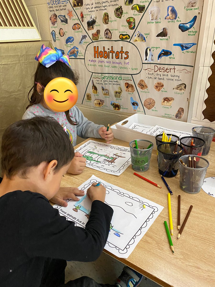 Kristen Ciechanowicz tweet media