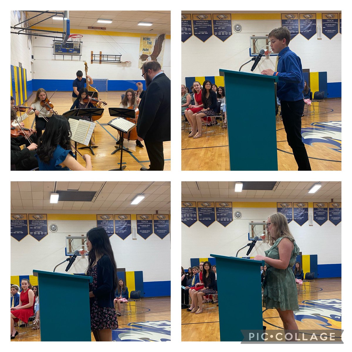 Lauren Bushwaller tweet media