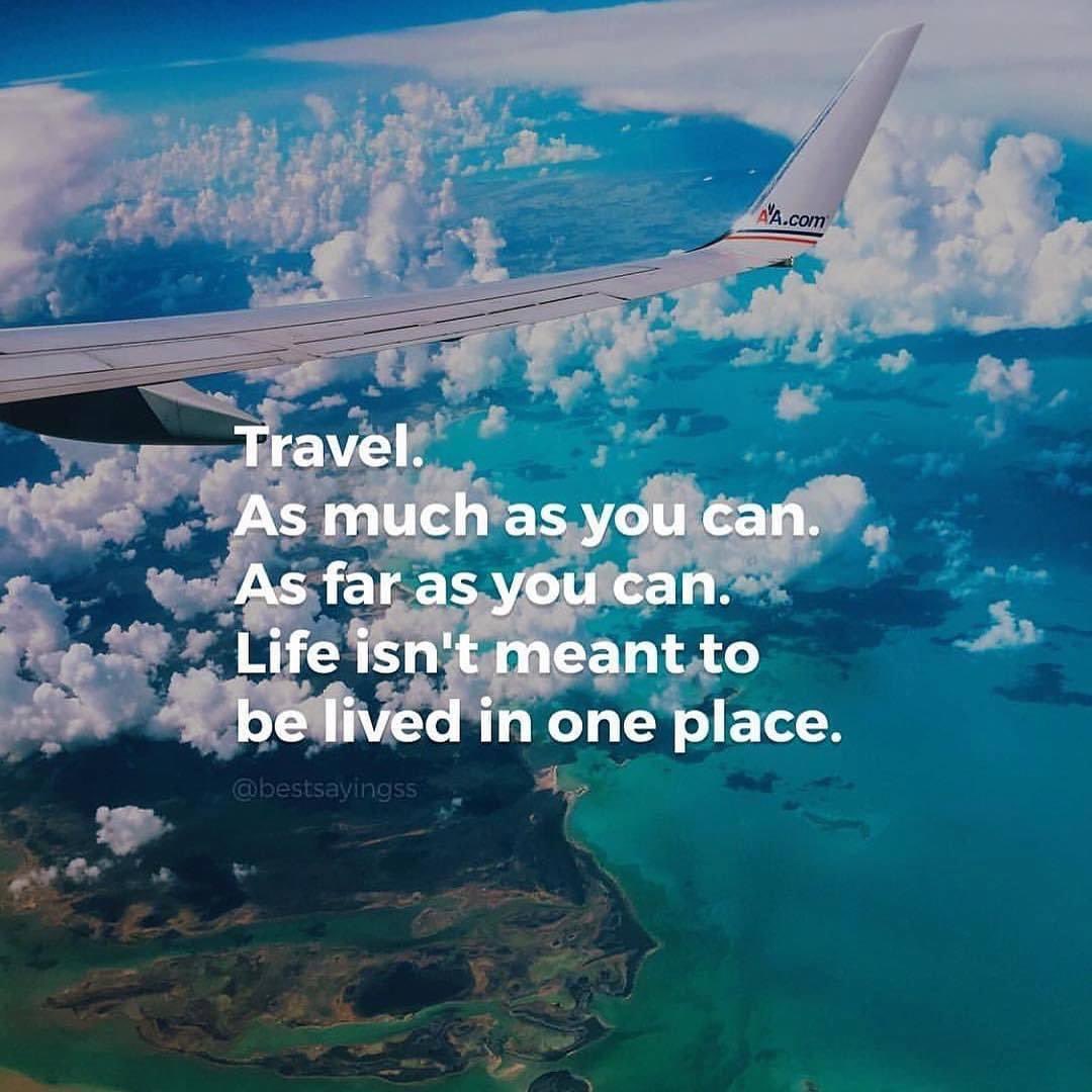 One World 365 tweet media