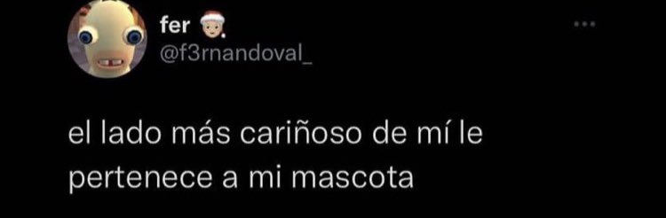 Guido Vera (@guidoveracl) on Twitter photo 