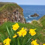 Photo by 🏴󠁧󠁢󠁳󠁣󠁴󠁿Judy🇪🇺 (@JudyBlue72)