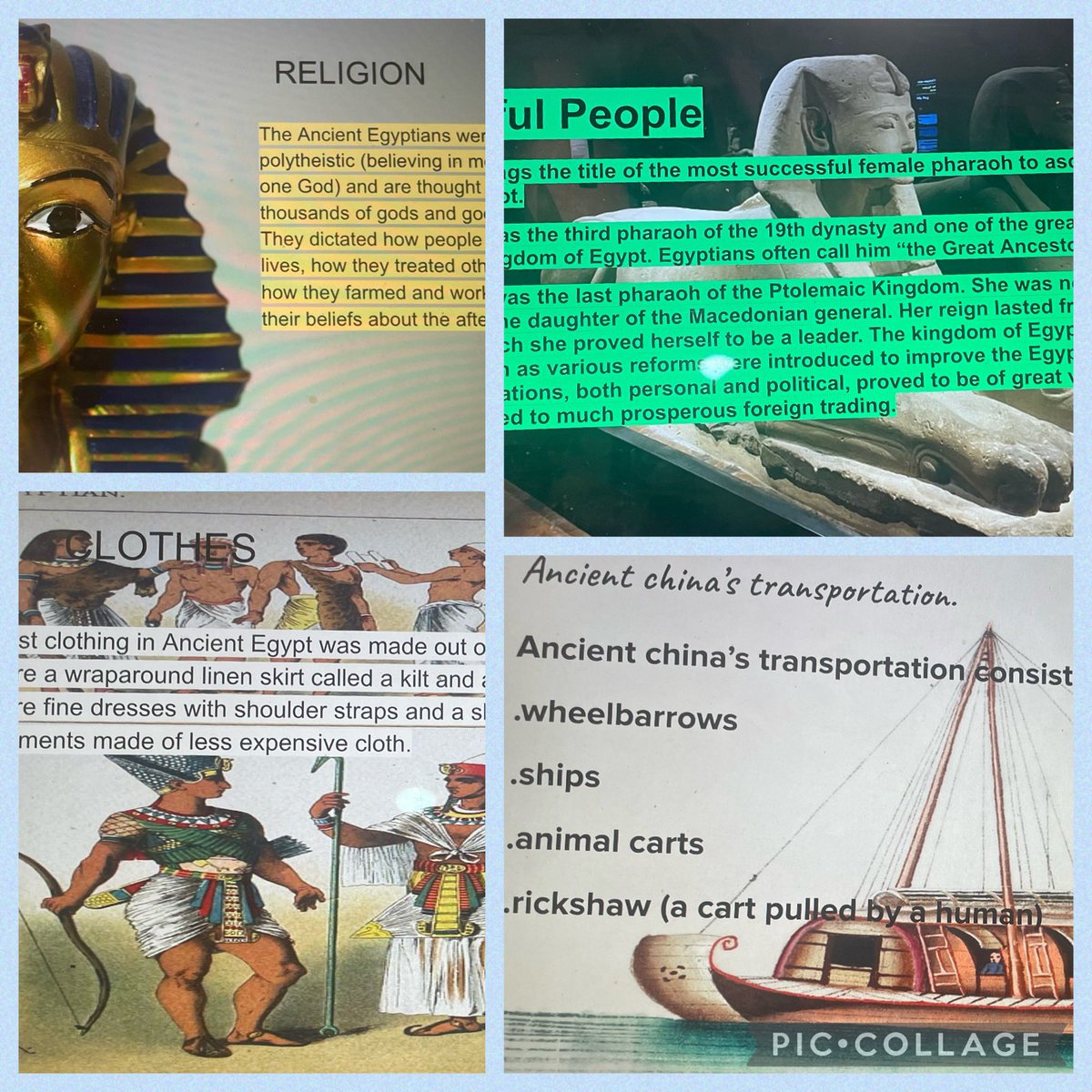 Ms. Corvinelli tweet media