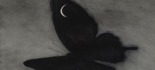 raylan 🍃 tweet media