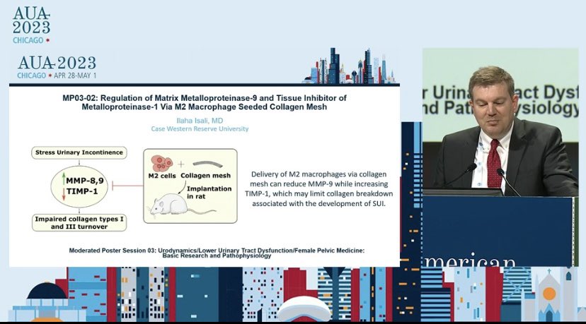 Great to see our work presented in the final plenary session of benign urology basic science #AUA23