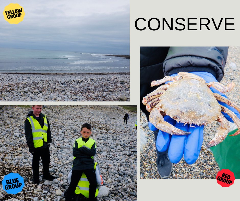 UrrasOG's tweet photo. Litter picking and learning about conservation with Katie from @cnag_Alba at #Barvas as part of our P7 #JohnMuirDiscoveryAward. #conservation #litter #community #conserve #Isleoflewis https://t.co/GoUT8W1ode
