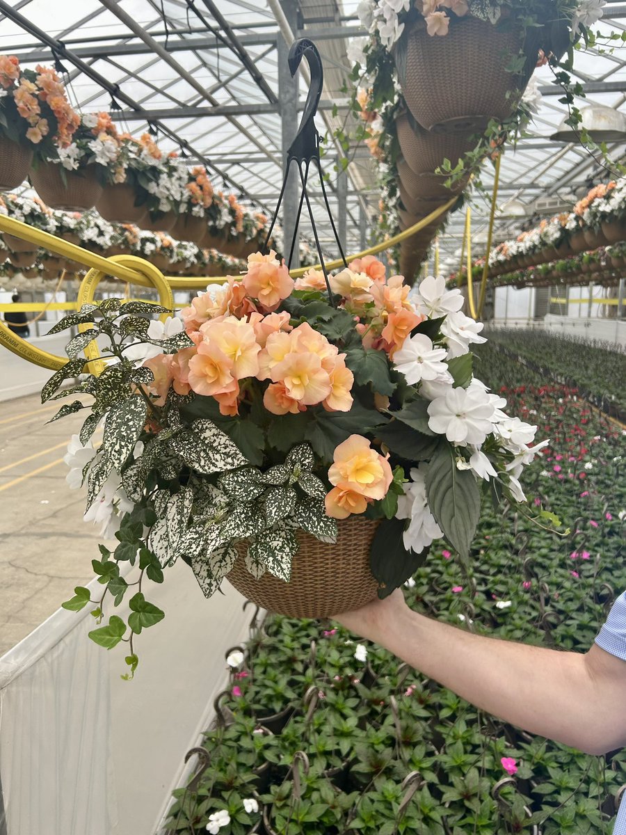 GCG Merchandising tweet media