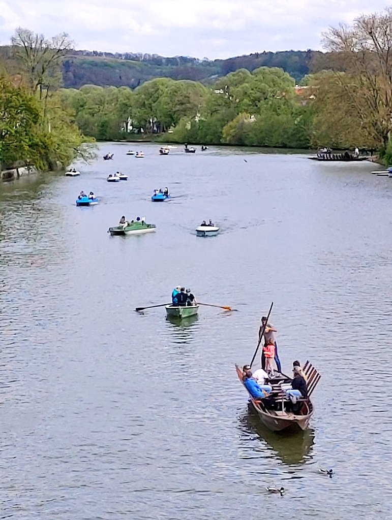 Es ist schon ordentlich viel Betrieb auf dem Neckar in Tübingen! Stocherkähne, Ruderboote, Tretboote und SUPs, ganz nach Geschmack und Tagesform, warten auf  Gäste! #visittuebingen #weAreGermany #theLaend
