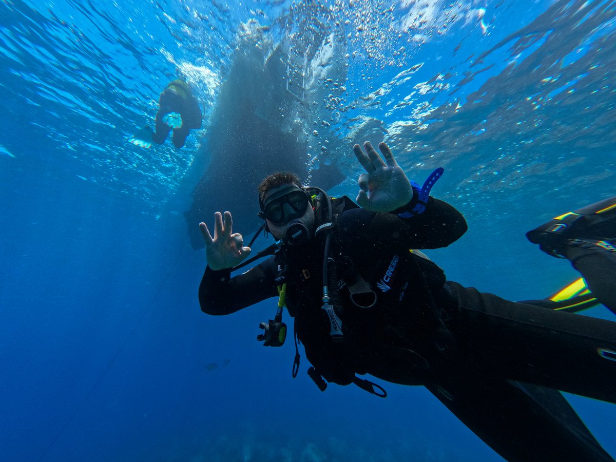 _F1T0_'s tweet photo. Increíbles experiencias, momentos inolvidables...
#ElHierro2023 #BucearRules https://t.co/8YFA0ScKdf