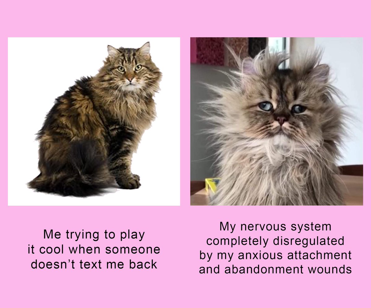 Andrea Guzzetta (@sundresscomic) on Twitter photo 