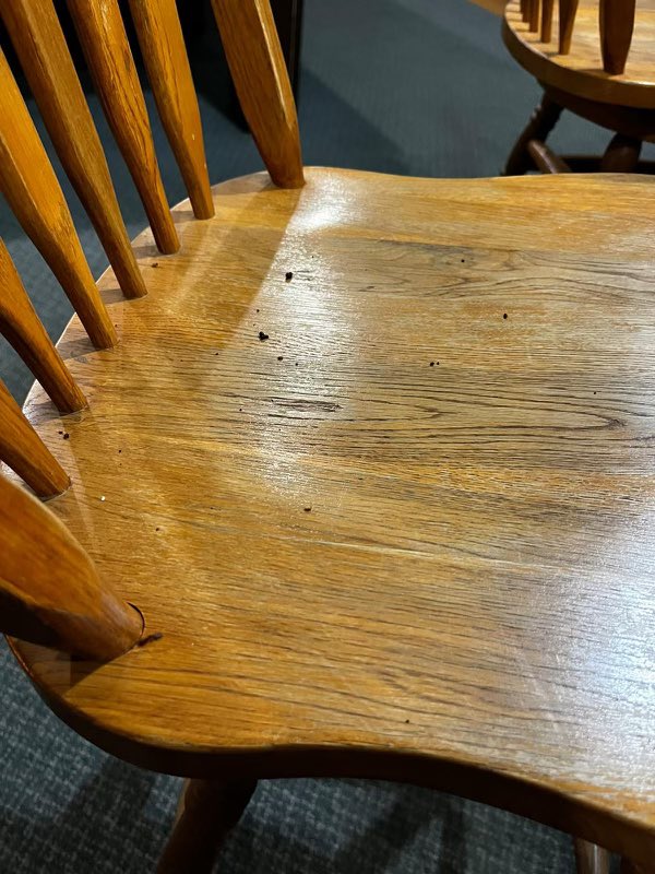 salteemilk's tweet photo. @bchesky @bchesky would love to send you the report if you’d like to see how bad Airbnb’s customer service has become. We emailed it in to multiple departments and were ignored repeatedly. This was the state of the Airbnb by the way - the mouse droppings the host admitted to hiding https://t.co/iMwLI80R2W