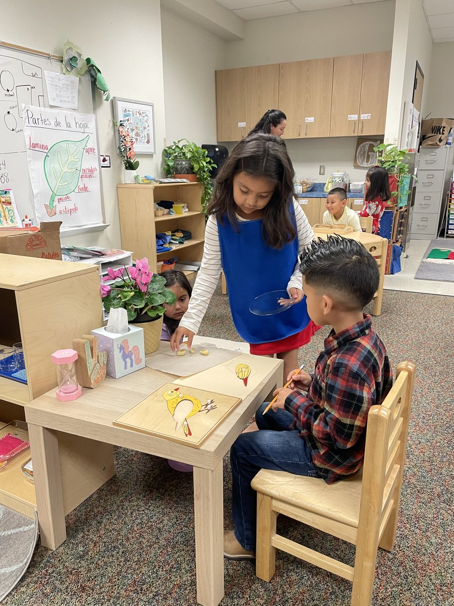 Grace and courtesy 🫶🏼🤍 one of our students offering a snack to another that she cut and prepared herself.