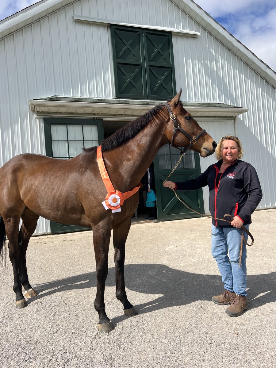 🧡 May is #AdoptAHorse Month, and we're excited to be sending Central Parking (Central Banker) and Engrave (Flatter) to their new homes from our Lexington, KY facility!
@ASPCA @ASPCApro @P_H_Lobo #rehabretrainrehome #ottb
