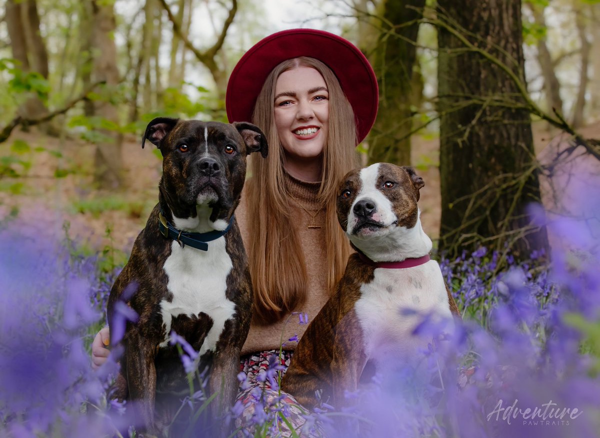 beffshuff tweet media