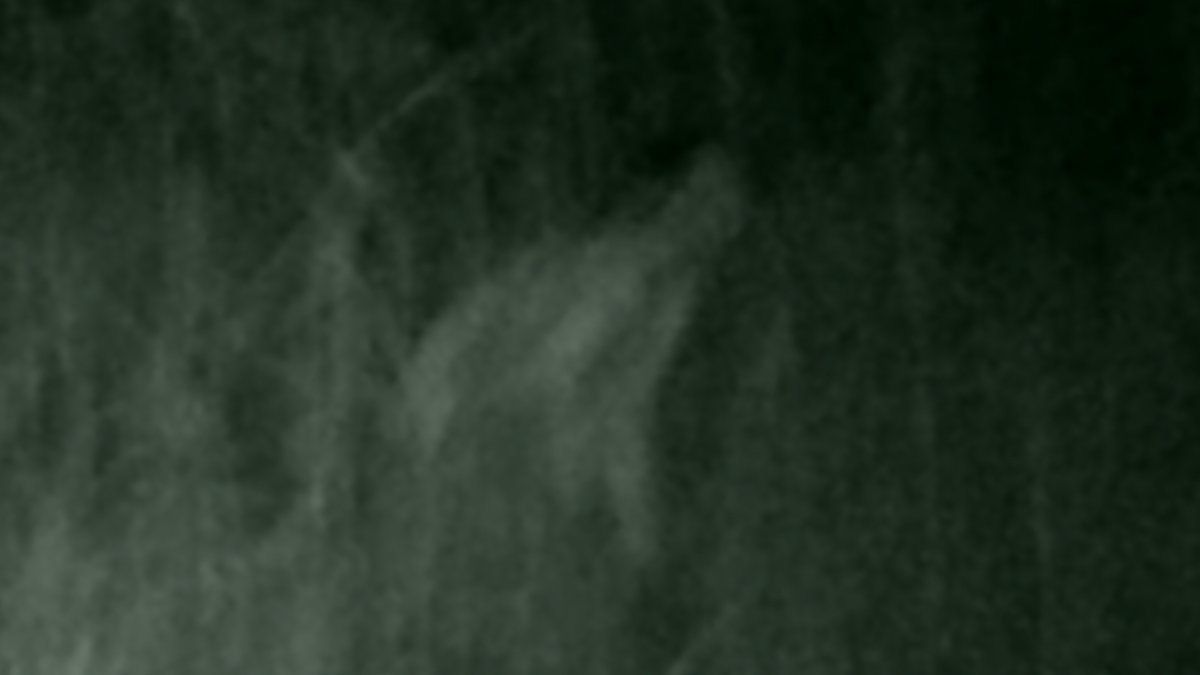 Mind Seed TV tweet media