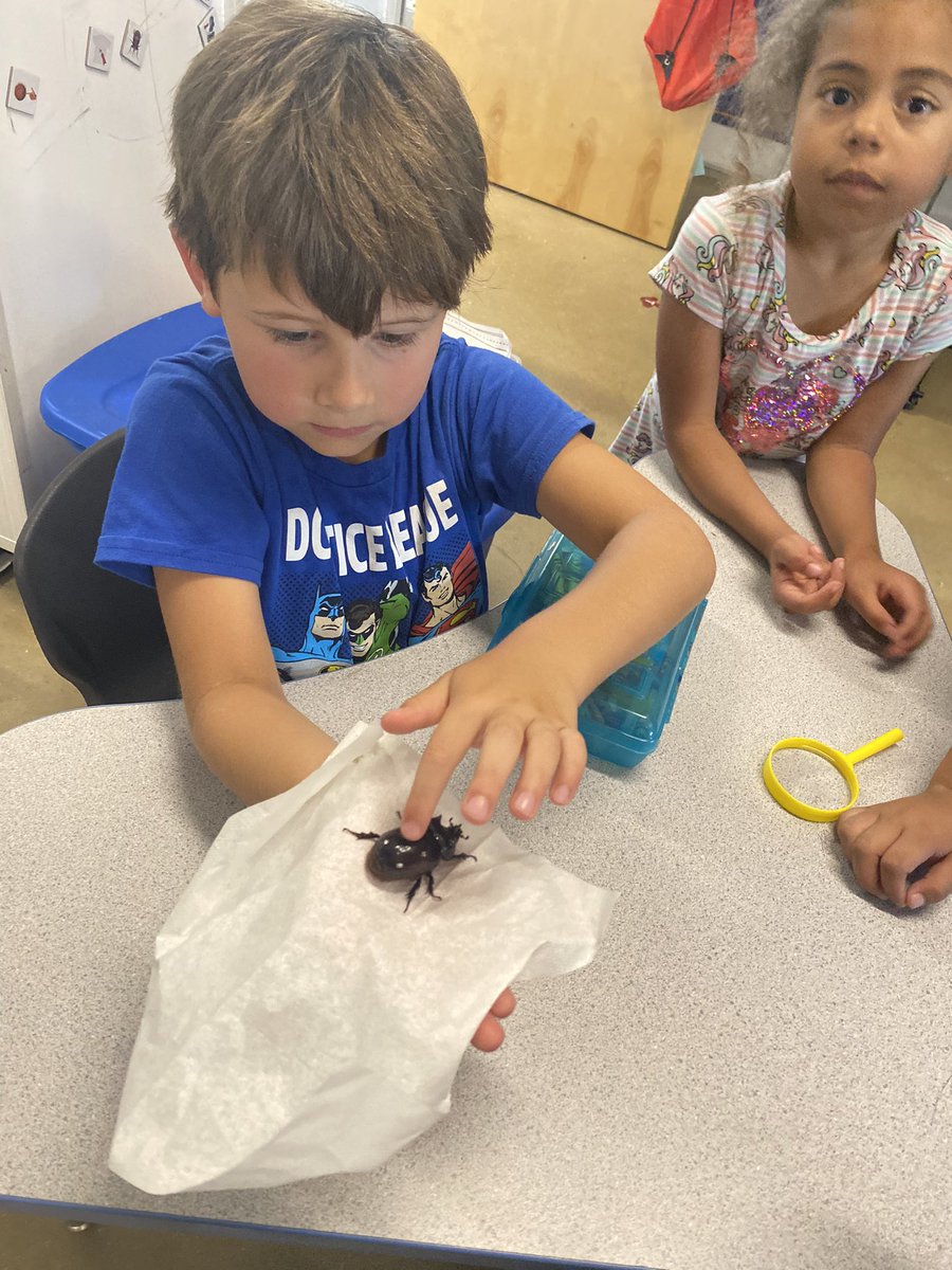 Kayla Michna (@kaylamichna) on Twitter photo I for insects on our Making Memories from A-Z! We found this huge beetle which made it even more exciting! Spent the day observing her, drawing and writing about what we learned, noticed and wondered. <a href="/TraditionTitans/">Tradition Elementary</a> <a href="/ECISDtweets/">East Central ISD</a> I for insects on our Making Memories from A-Z! We found this huge beetle which made it even more exciting! Spent the day observing her, drawing and writing about what we learned, noticed and wondered. <a href="/TraditionTitans/">Tradition Elementary</a> <a href="/ECISDtweets/">East Central ISD</a>