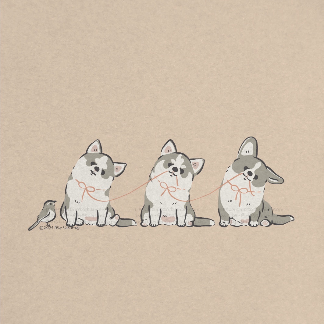 「こどもの日のパピーのハスキーとコーギーたち #こどもの日」|サカモトリエ/イラストレーターのイラスト