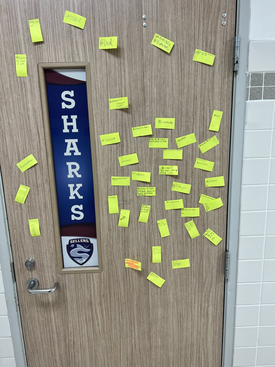 Noel Stroud tweet media