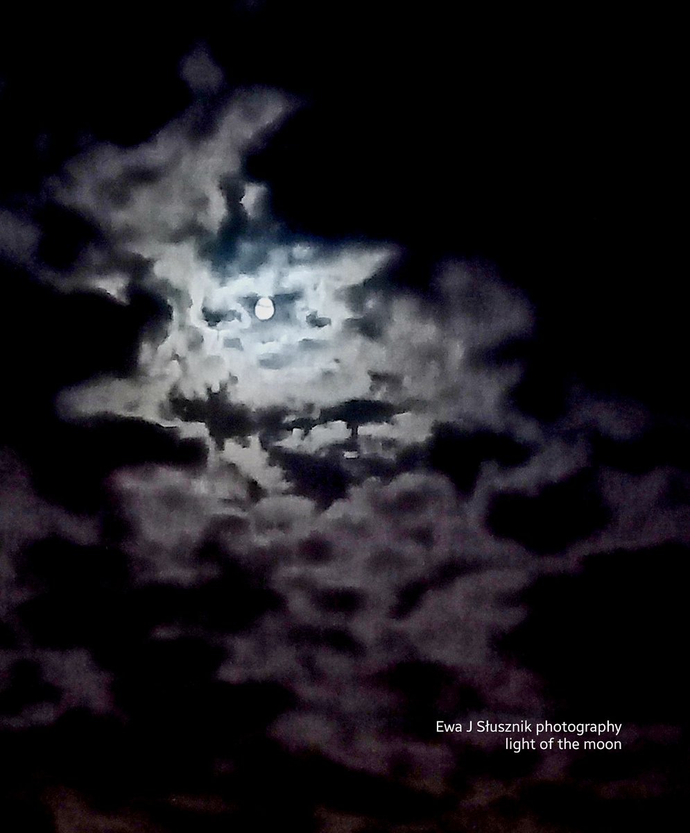 OfMiArtGallery's tweet photo. Ewa J Słusznik photography #night #lightofthemoon #moon #clouds #sky 2023 #light https://t.co/Bd17QCeqQU
