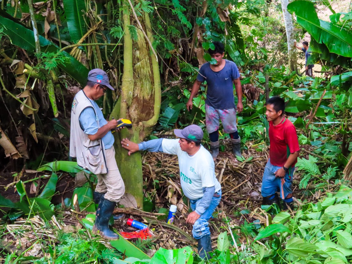 Upper Amazon Conservancy tweet media