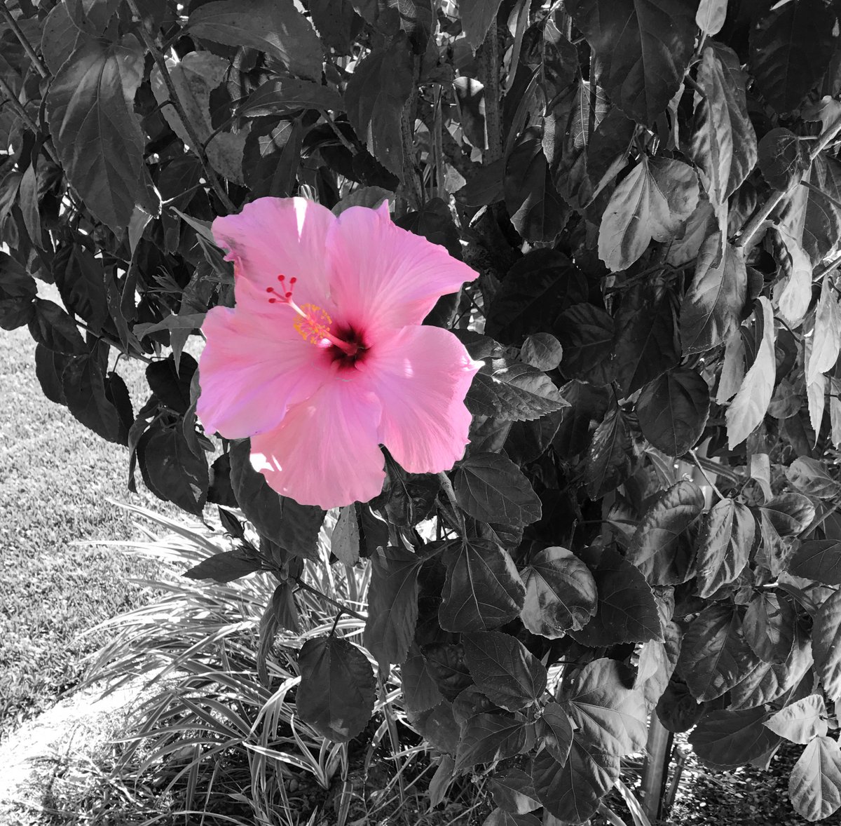 UnArtedTeritory's tweet image. All these gorgeous pictures would look amazing on your walls and they are all available at UnArtedTerritory.com! Shop Now! #Canon  #NaturePhotography #flowersformom #butterfly #fishinglife #macrophoto #naturelovers #BuyIntoArt #AYearForArt #homedecoration #interiorinspo