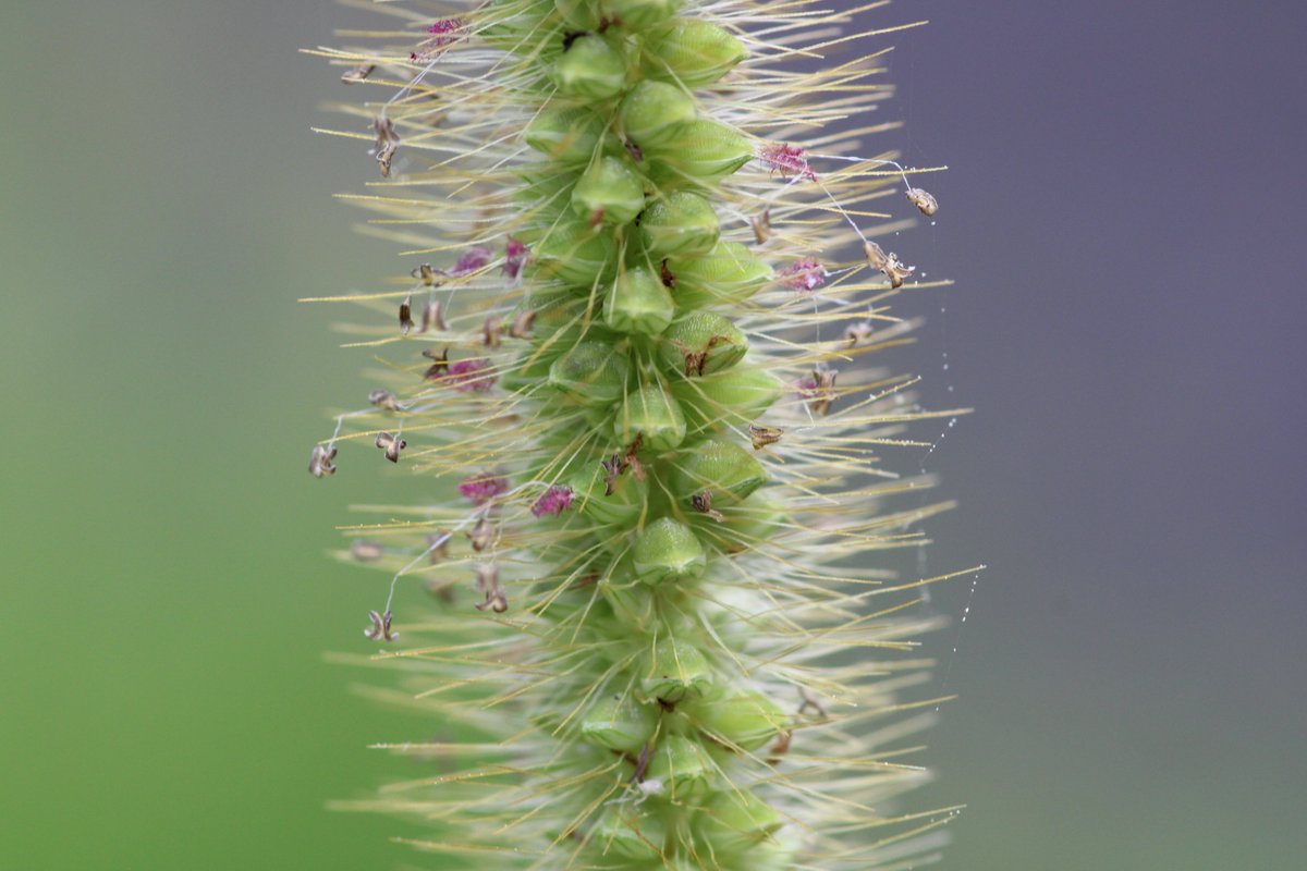 UnArtedTeritory's tweet image. All these gorgeous pictures would look amazing on your walls and they are all available at UnArtedTerritory.com! Shop Now! #Canon  #NaturePhotography #flowersformom #butterfly #fishinglife #macrophoto #naturelovers #BuyIntoArt #AYearForArt #homedecoration #interiorinspo