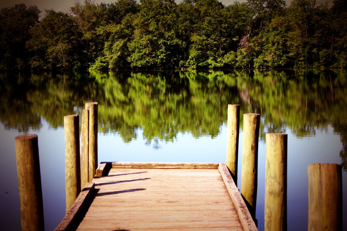 UnArtedTeritory's tweet image. All these gorgeous pictures would look amazing on your walls and they are all available at UnArtedTerritory.com! Shop Now! #Canon  #NaturePhotography #flowersformom #butterfly #fishinglife #macrophoto #naturelovers #BuyIntoArt #AYearForArt #homedecoration #interiorinspo