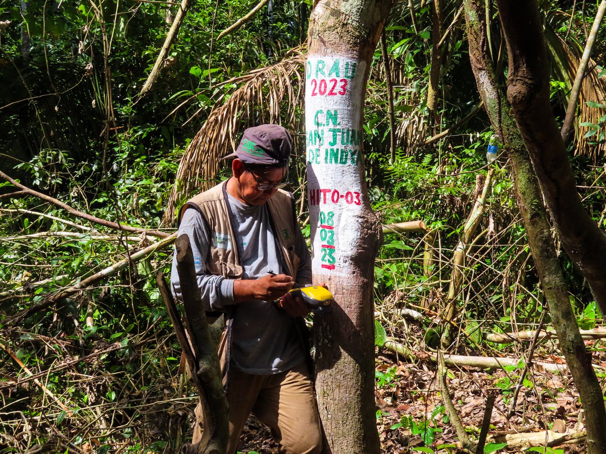 Upper Amazon Conservancy tweet media